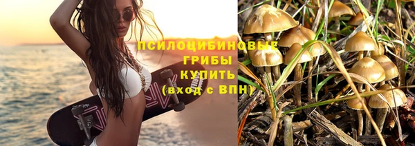 mdpv Володарск