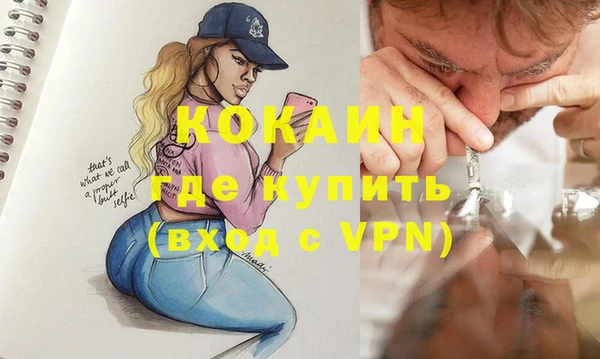 прущие грибы Сосновка
