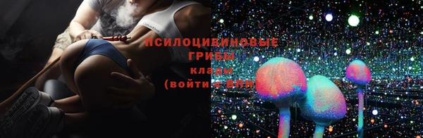 mdpv Володарск